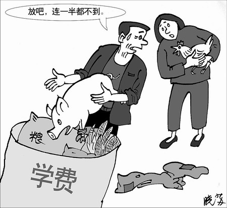 农村人口贫困原因_农村贫困人口图片(2)