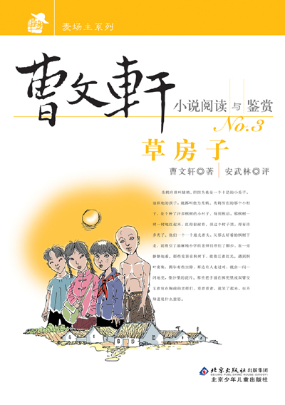 网红收入超范冰冰_朝鲜人民的真实收入_小说阅读网作家收入