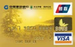 建行红松龙卡-建设银行信用卡-和讯信用卡