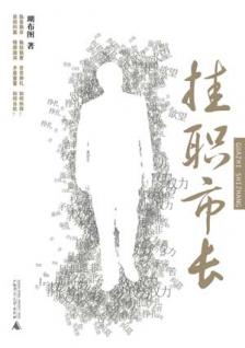 《宦海沉浮录:挂职市长》_小说